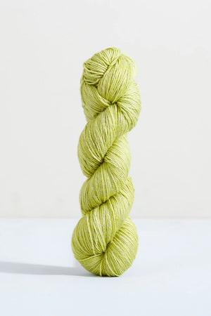 Parakeet
