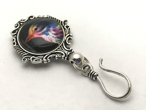 Rainbow Bird