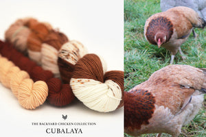 Cubalaya Hen