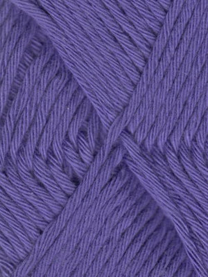 2028 - Violet